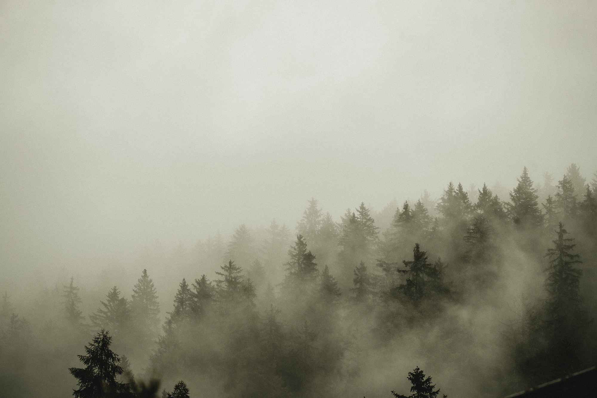 Export x3 1DX23868 Fotoshooting 2018 Annette & Mike Nauders 2